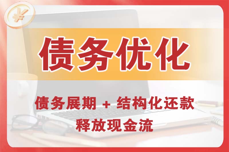 城口债务优化